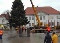 Jetzt schon an Weihnachten denken!