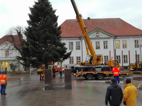 Jetzt schon an Weihnachten denken!