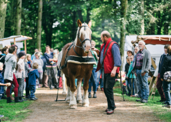 Endlich wieder Naturerlebnistag im Uhlenkolk