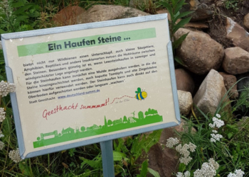 Grüner Ausschwärmtag ‚Klimaschutz‘ – Burkhard Peters besucht regionale Projekte zur Verbesserung von Artenschutz und Klima