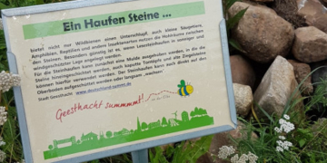 Grüner Ausschwärmtag ‚Klimaschutz‘ – Burkhard Peters besucht regionale Projekte zur Verbesserung von Artenschutz und Klima