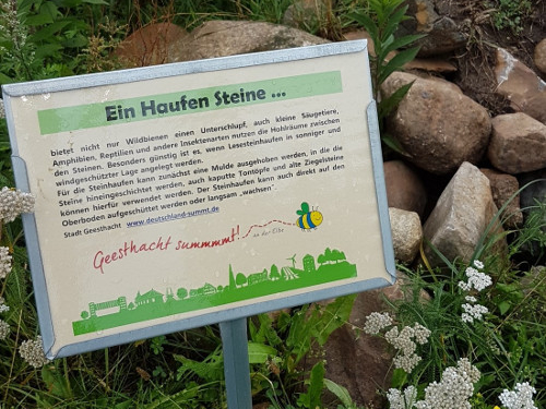 Grüner Ausschwärmtag ‚Klimaschutz‘ – Burkhard Peters besucht regionale Projekte zur Verbesserung von Artenschutz und Klima