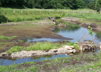 Begehung und Vortrag zur renaturierten Bille