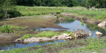 Begehung und Vortrag zur renaturierten Bille