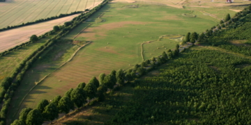 Sommerfest: Zehn Jahre Baumpark Ratzeburg