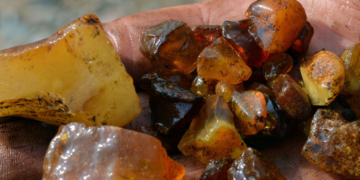 Der Bernstein vom Schaalsee