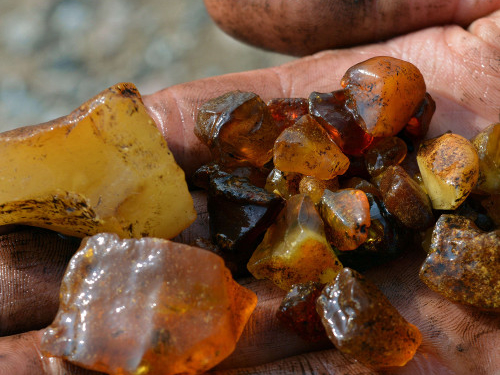 Der Bernstein vom Schaalsee