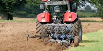 Der Optimale Zeitpunkt der Rapsaussaat ist wichtig