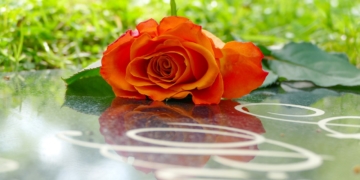 Mölln: ‚Lange Nacht des Friedhofs‘ erzählt von den Wundern des Lebens