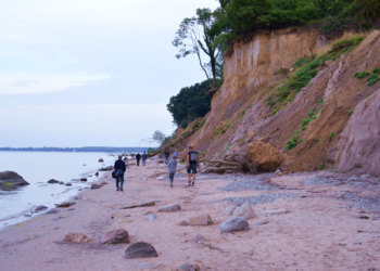 GeoPark: Bernstein bei Nacht sowie Steine und Fossilien am Strand