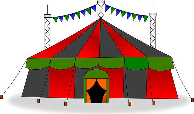 Zirkusprojekt an der Grund- und Gemeinschaftsschule Stecknitz