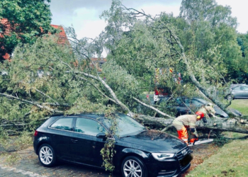 Birke stürzt um und beschädigt zwei Pkw