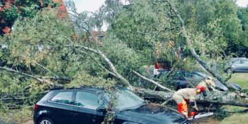 Birke stürzt um und beschädigt zwei Pkw