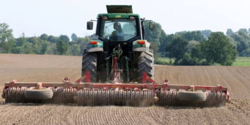 Ein halber Ritterschlag