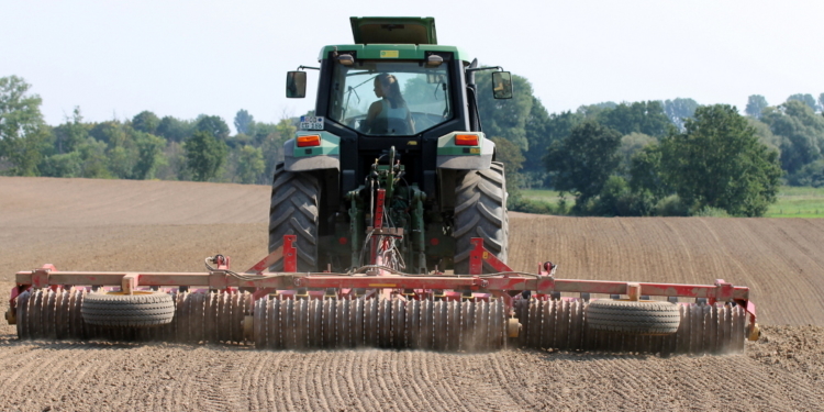 Ein halber Ritterschlag