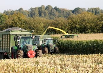 Maisernte 2019 in Poggensee
