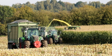 Maisernte 2019 in Poggensee