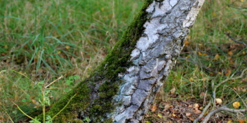 Wetterseite und Himmelsrichtung?