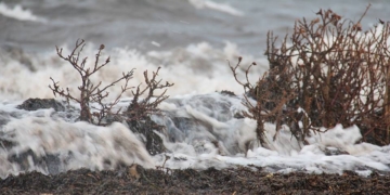 Sonderbericht des Weltklimarats: Meeresspiegel könnte noch stärker steigen als bislang angenommen