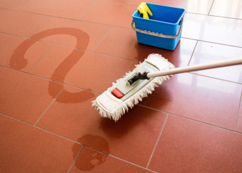 Online-Check zur Arbeit: IG BAU ruft 690 Reinigungskräfte im Kreis Herzogtum Lauenburg zur Umfrage auf