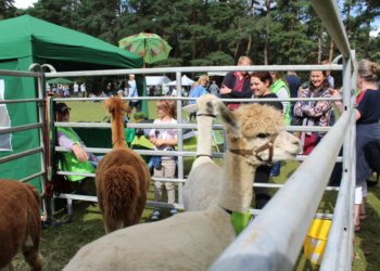Wieder Besucheransturm beim Naturerlebnistag