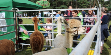 Wieder Besucheransturm beim Naturerlebnistag