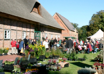 Herbstmarkt auf dem Gelände des Viehhauses in Segrahn