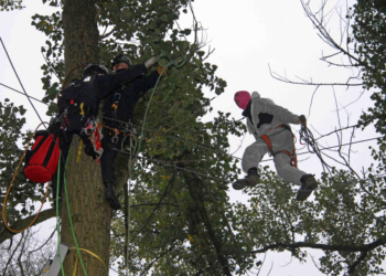 Ratzeburger Bundespolizeispezialkräfte unterstützen das Land Hamburg bei der Räumung eines Baumhauses im Vollhöfner Wald