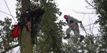 Ratzeburger Bundespolizeispezialkräfte unterstützen das Land Hamburg bei der Räumung eines Baumhauses im Vollhöfner Wald