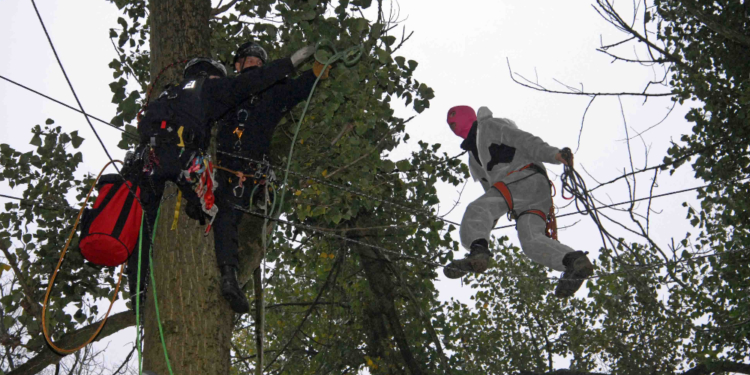 Ratzeburger Bundespolizeispezialkräfte unterstützen das Land Hamburg bei der Räumung eines Baumhauses im Vollhöfner Wald
