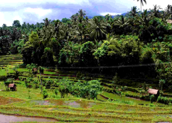 Vom Herzogtum in die Welt: Auf nach Bali