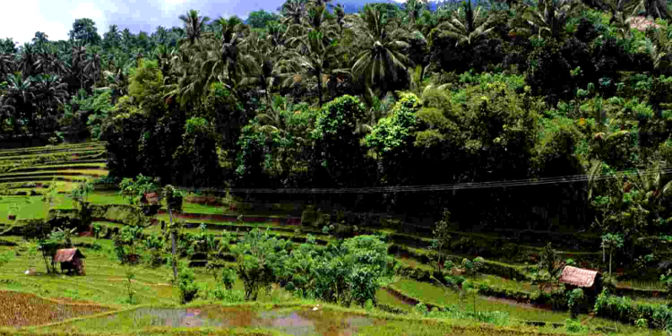 Vom Herzogtum in die Welt: Auf nach Bali