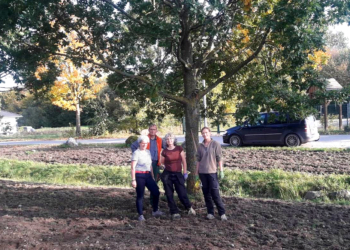 Eine Blumenwiese für Breitenfelde