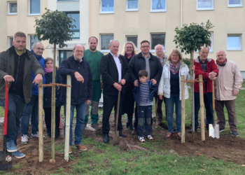 Zwei Eschen für die Einheit