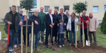 Zwei Eschen für die Einheit