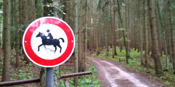 Linke: Der Wald ist für alle da!