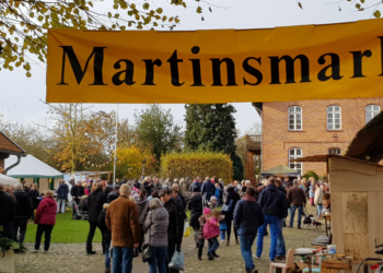 Martinsmarkt 2019 in Ziethen