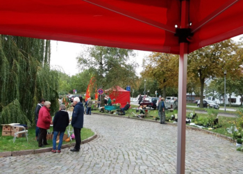 Pflanzenflohmarkt bleibt eine Erfolgsgeschichte!