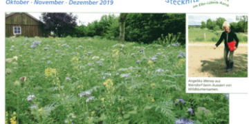 Stecknitz-Post für Monate Oktober bis Dezember wird an alle Haushalte verteilt