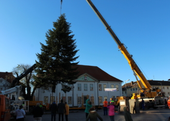 Ratzeburgs Weihnachtsbaum steht
