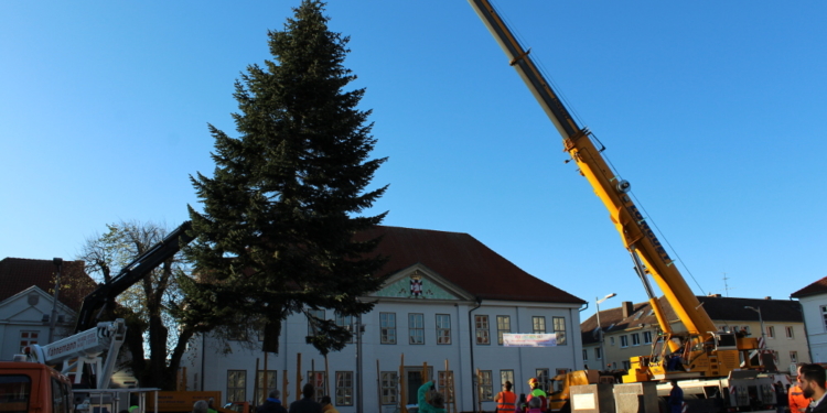 Ratzeburgs Weihnachtsbaum steht