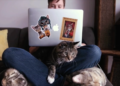 Doku-Dienstag: ‚CatVideoFest 2019‘ im Filmclub