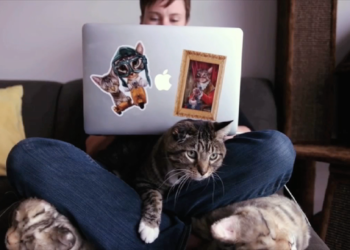 Doku-Dienstag: ‚CatVideoFest 2019‘ im Filmclub