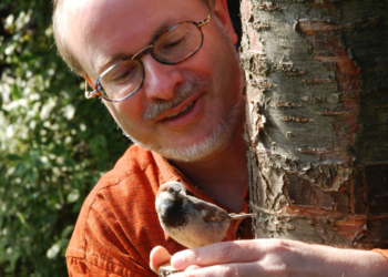 ‚Schräge Vögel – gefiederte Nachbarn‘ in Krummesse