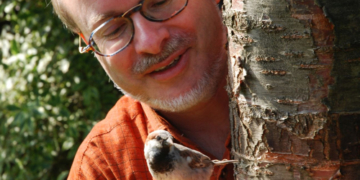 ‚Schräge Vögel – gefiederte Nachbarn‘ in Krummesse