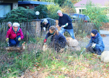 Im Herbst für einen bunten Frühling sorgen – Blumenzwiebeln für die Brummelbrede