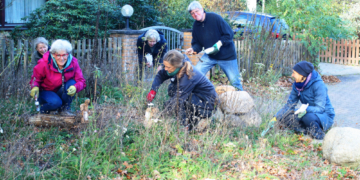 Im Herbst für einen bunten Frühling sorgen – Blumenzwiebeln für die Brummelbrede