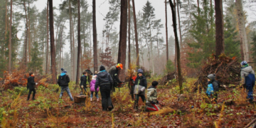 Eine Idee und 550 Bäume