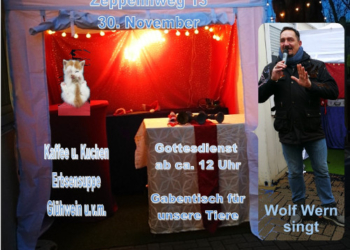 Weihnachten für Tiere