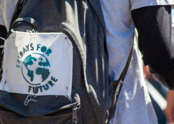Fridays for Future Demo in Lübeck